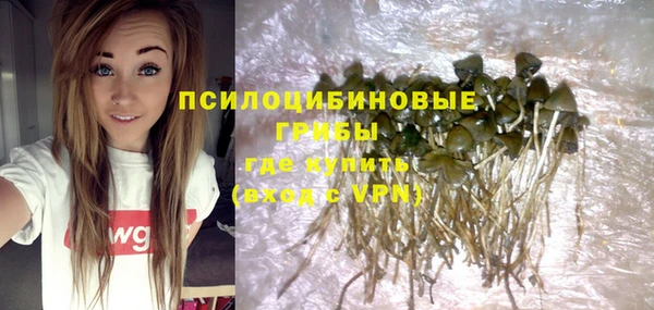 бутик Бородино