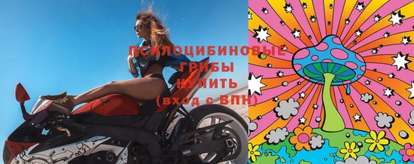 прущая мука Богданович