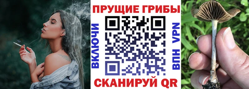Галлюциногенные грибы ЛСД hydra tor Галич продажа наркотиков